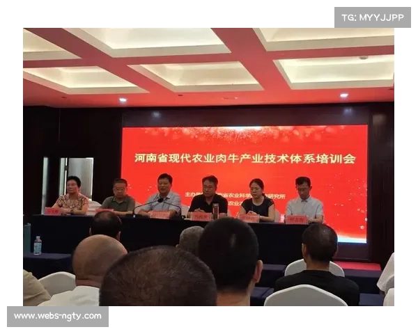 情境-时机组合模型在比赛后期发挥优势的作用与策略分析