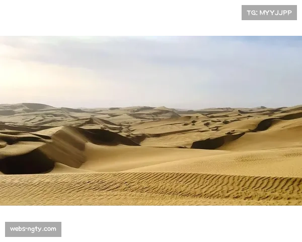 高温挑战：四月阿拉伯联合酋长国举行的沙漠耐力赛气温或达38摄氏度